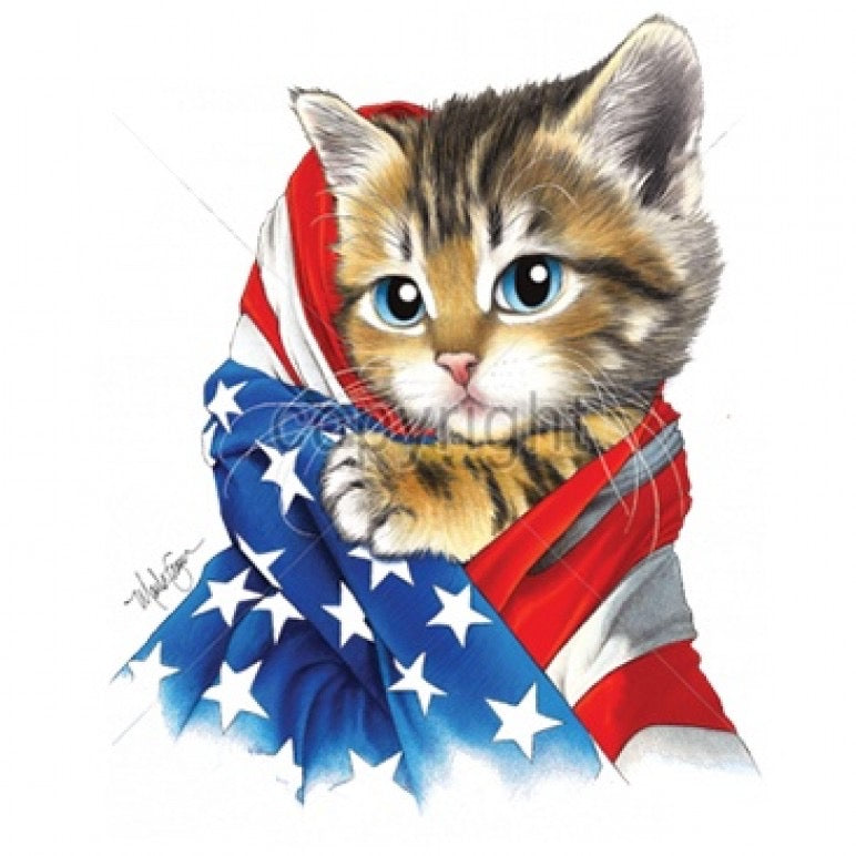 American Kitty