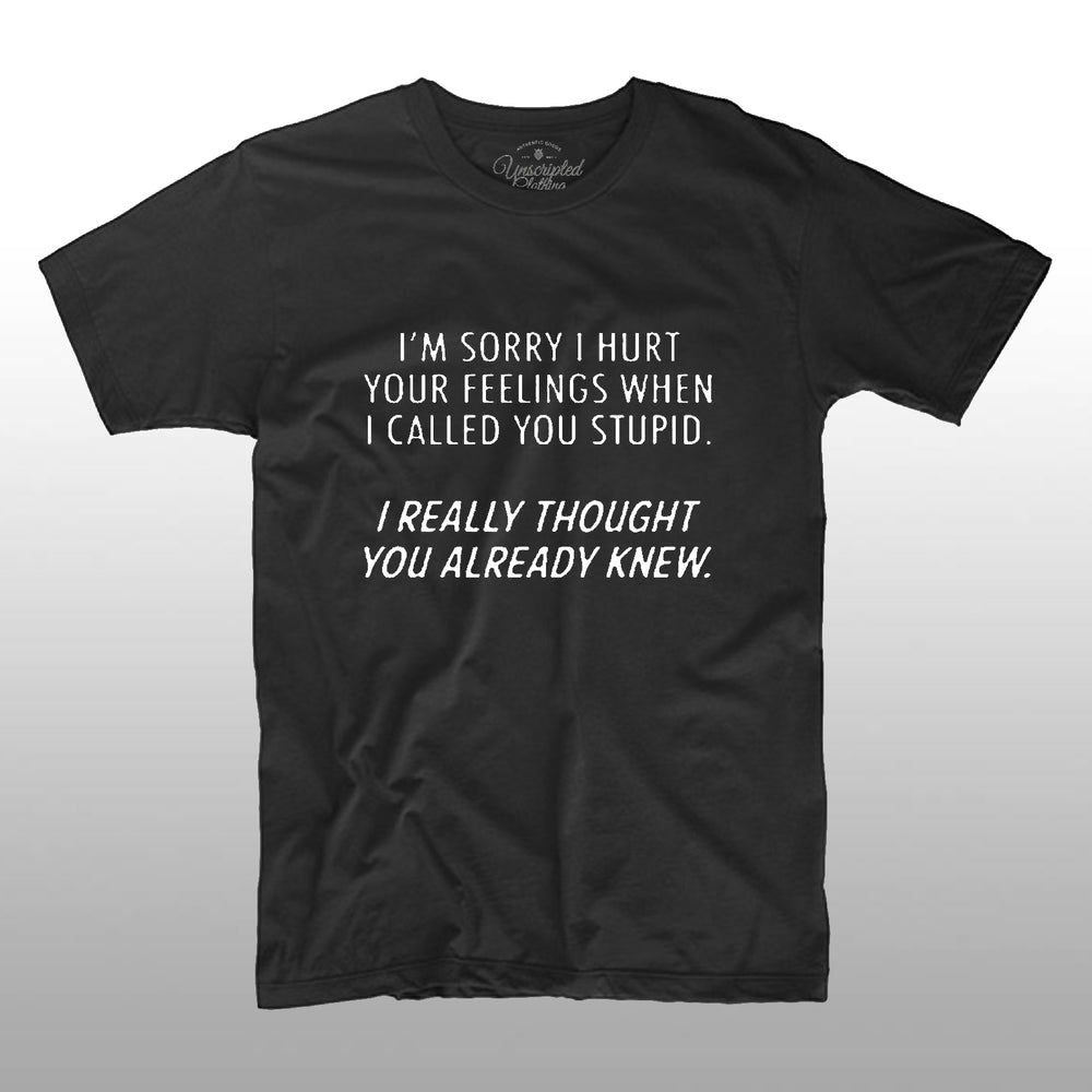Sorry I Hurt You