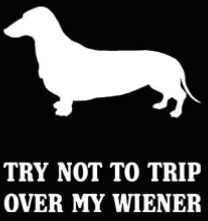 My Wiener